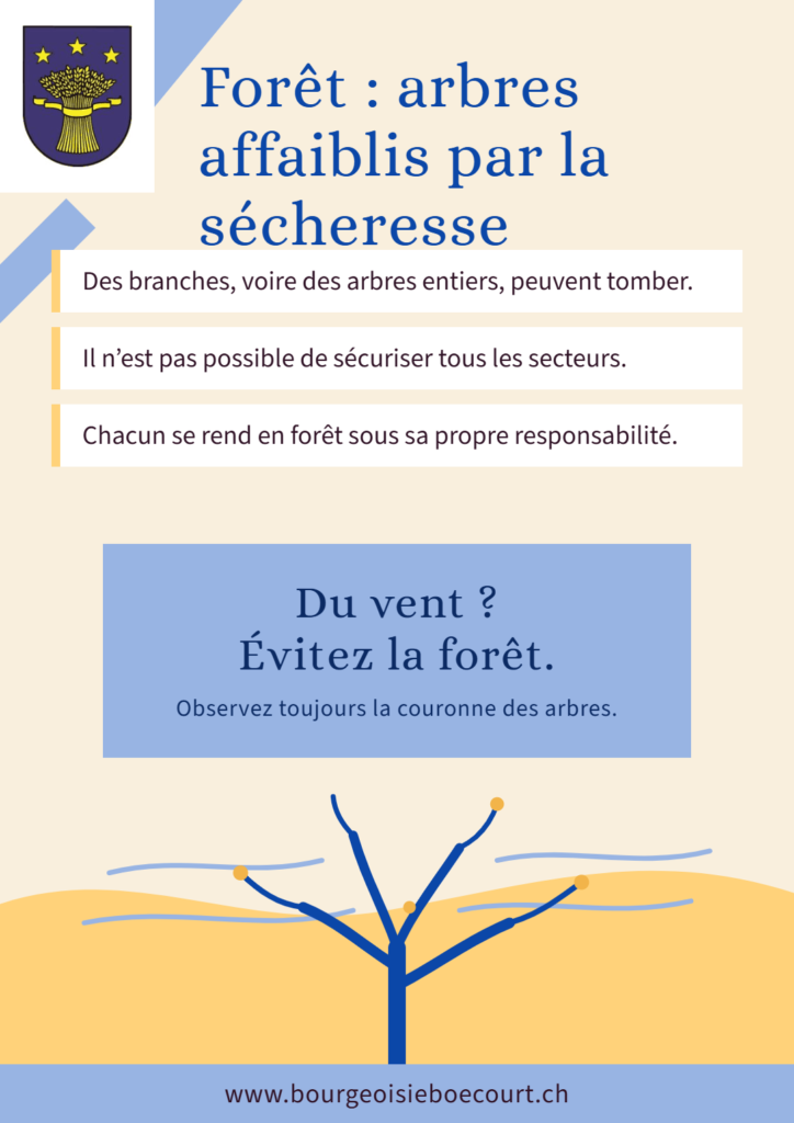 Forêt – Attention !